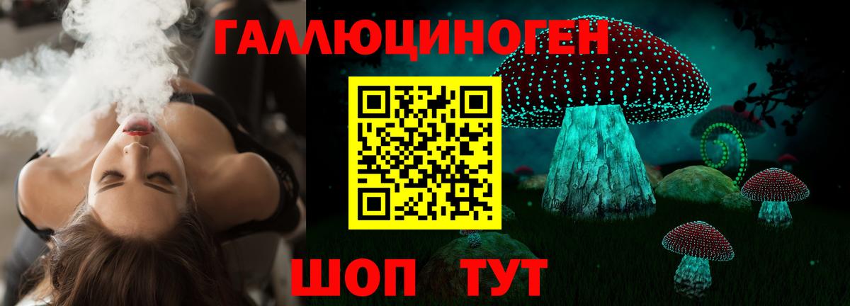 Владимир  Псилоцибиновые грибы мухоморы  купить закладку  Вход с VPN  Псилоцибиновые грибы мухоморы 